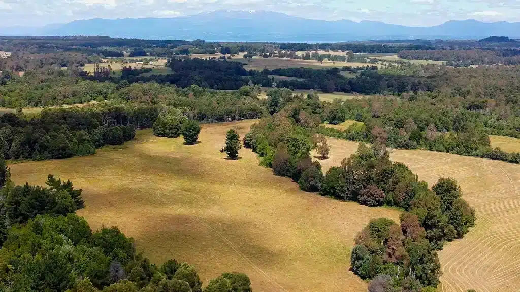 Patagonia Fundo Loncovaca