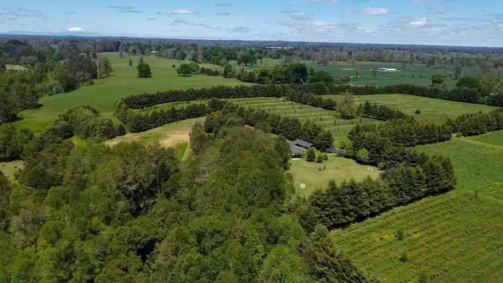 Patagonia Parque Sequoia