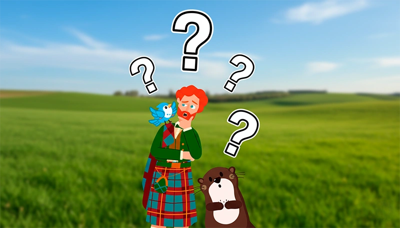 Preguntas frecuentes (FAQ)