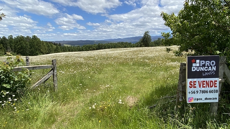 Vende tu propiedad con produncan